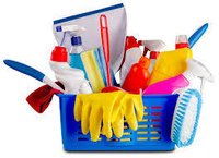 Productos de limpieza, útiles y celulosa